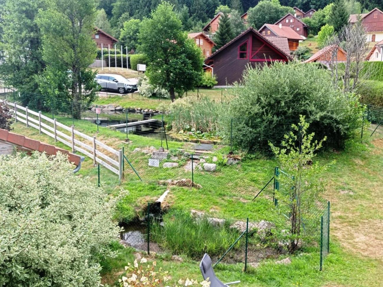 Вілла Coquet Chalet D Auviana Ксонрю-Лонжмер Екстер'єр фото